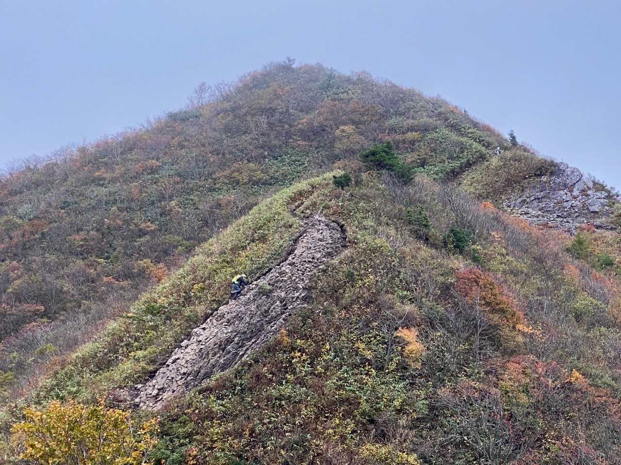 大関山-ハマグリ山-トンガリ山 往復コースの写真