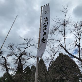 小早川秀秋、実は二十歳で亡くなってるのよね