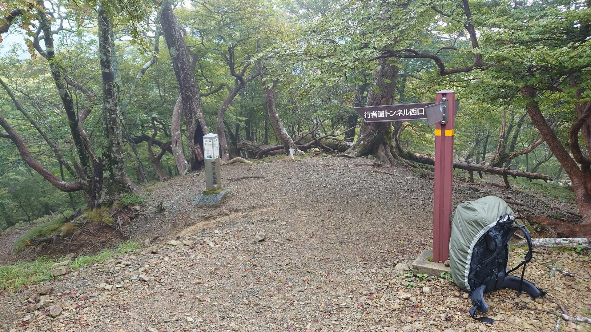 弥山登山口-弁天ノ森-聖宝ノ宿跡-弥山 往復コースの写真