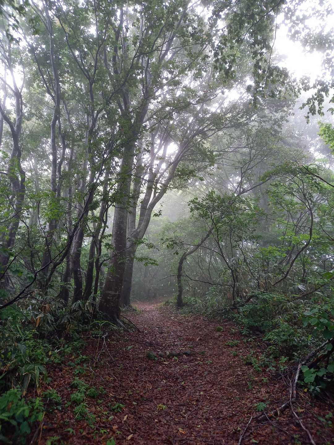 尾神岳（尾神岳登山口）の写真