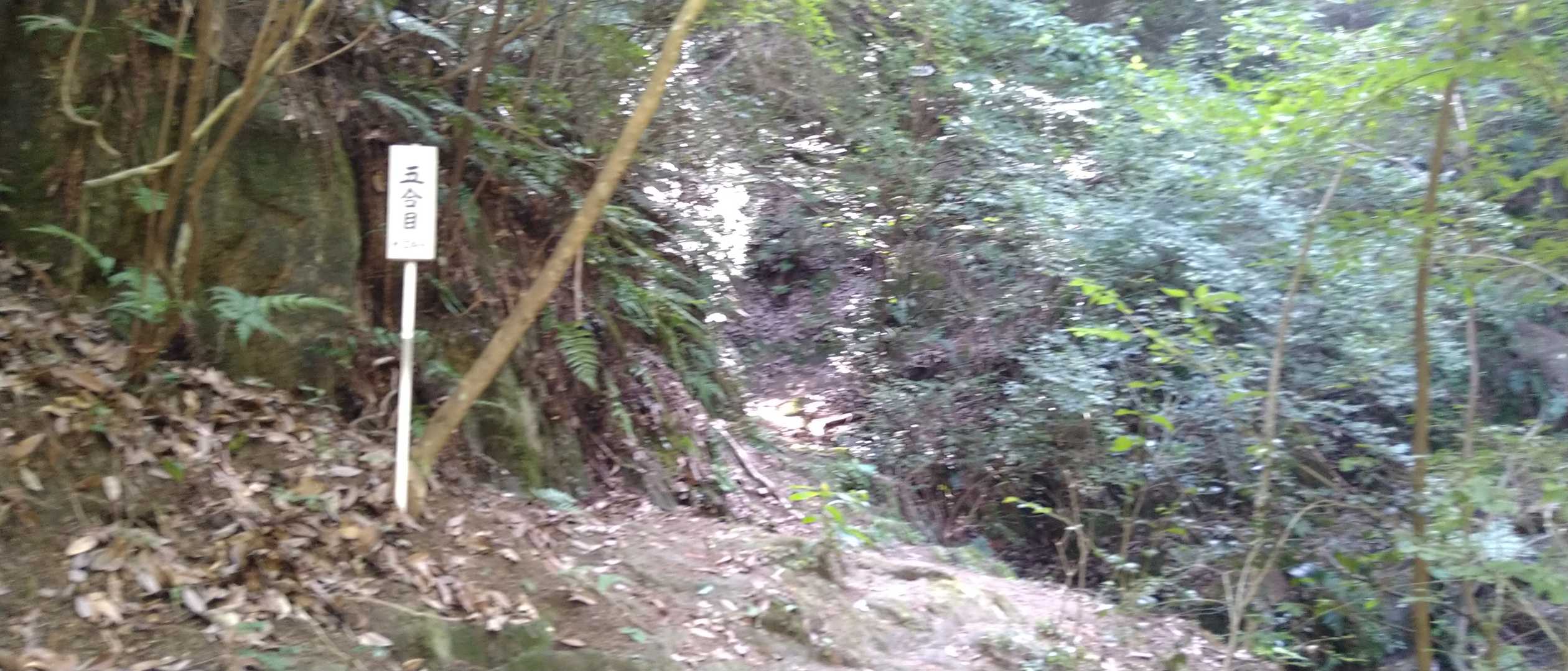 5合目、標高220m👍