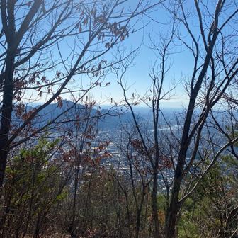 真福寺山　この辺りから整備されていない道になっていく