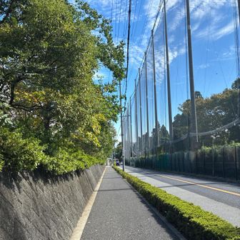 帰路に着きます