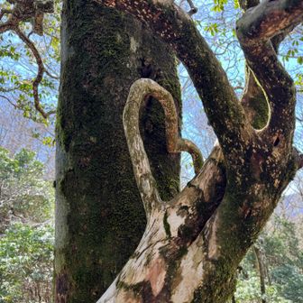 ハートみっけ。