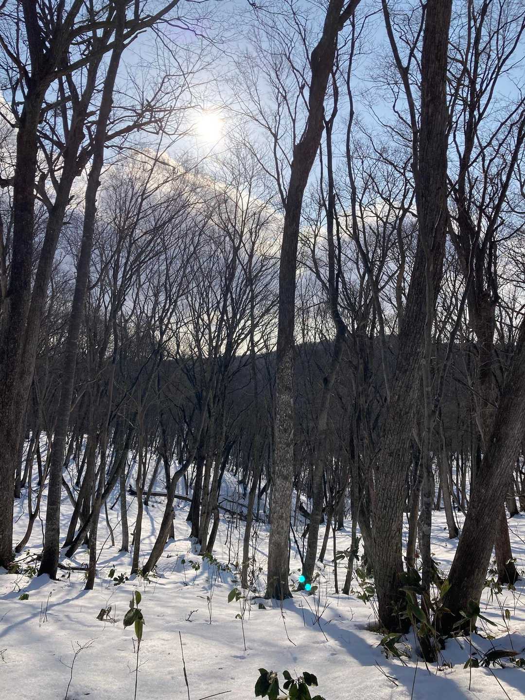 日がさすと暖かい☀️