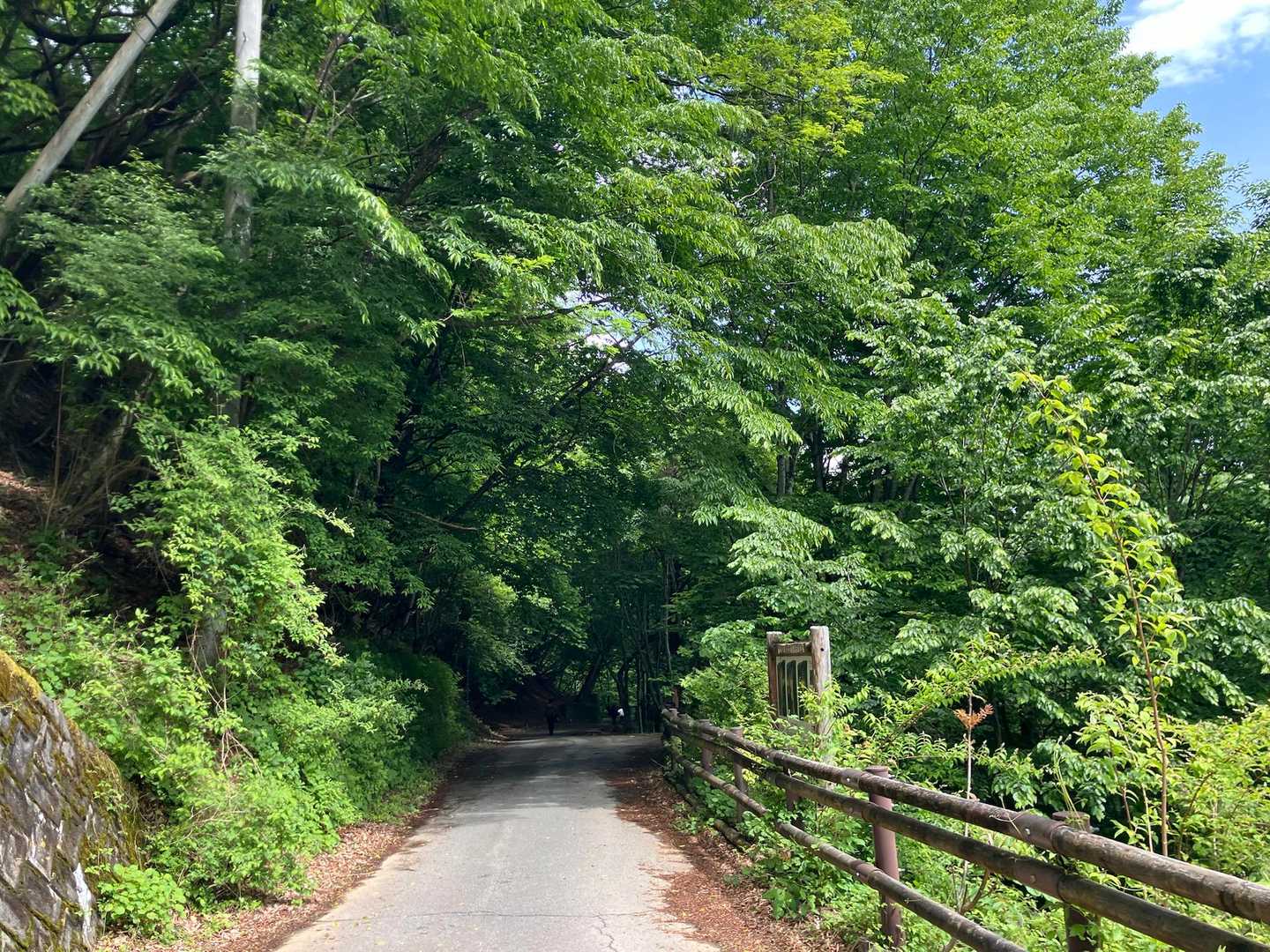 西沢渓谷入口バス停-木賊山 縦走コースの写真