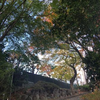 荒井城址公園もよかった