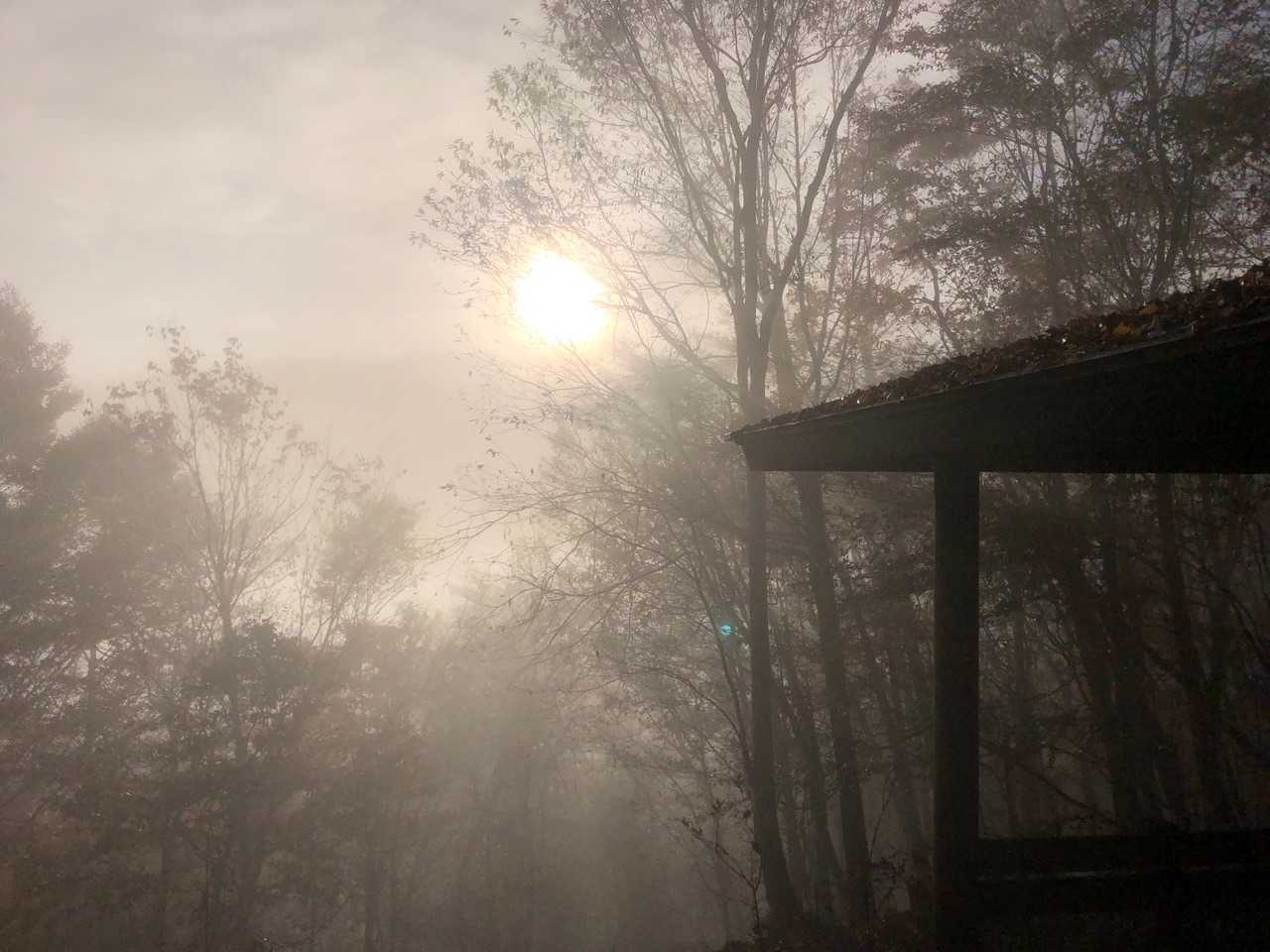 霧の中から太陽☀️が見えてきた✨