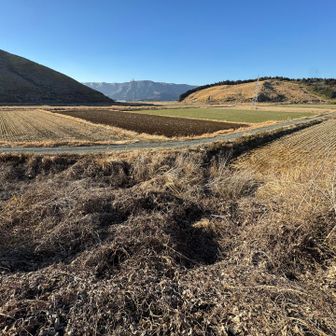 着地点を何も考えてなくて
最後ちょっとズボズボすることになりまして