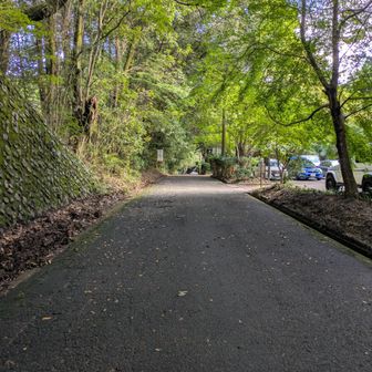 駐車場が見えて来ました。
無事下山出来ました😄