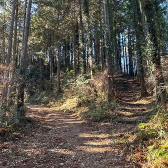 これを右に行くとサミット