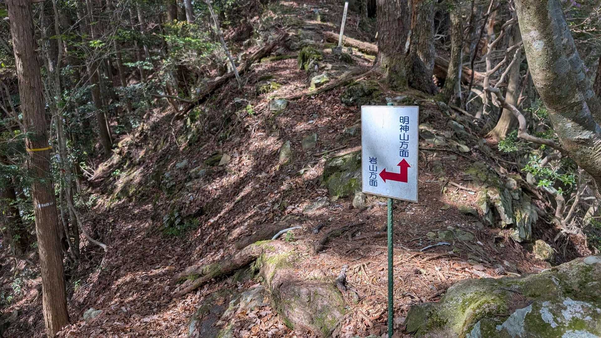 誘惑には負けない。
実力で負けている。