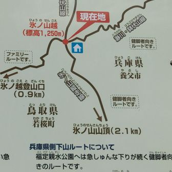 下山ルートのチョイス
ミスった💦
福定親水公園行き
健脚者コース🤣
ノートレースの急な斜面
膝までのフカフカ雪
所どころルートを見失い彷徨いました🤣💦
このルートは誰も使わんわ😂