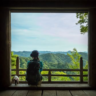のぶたん