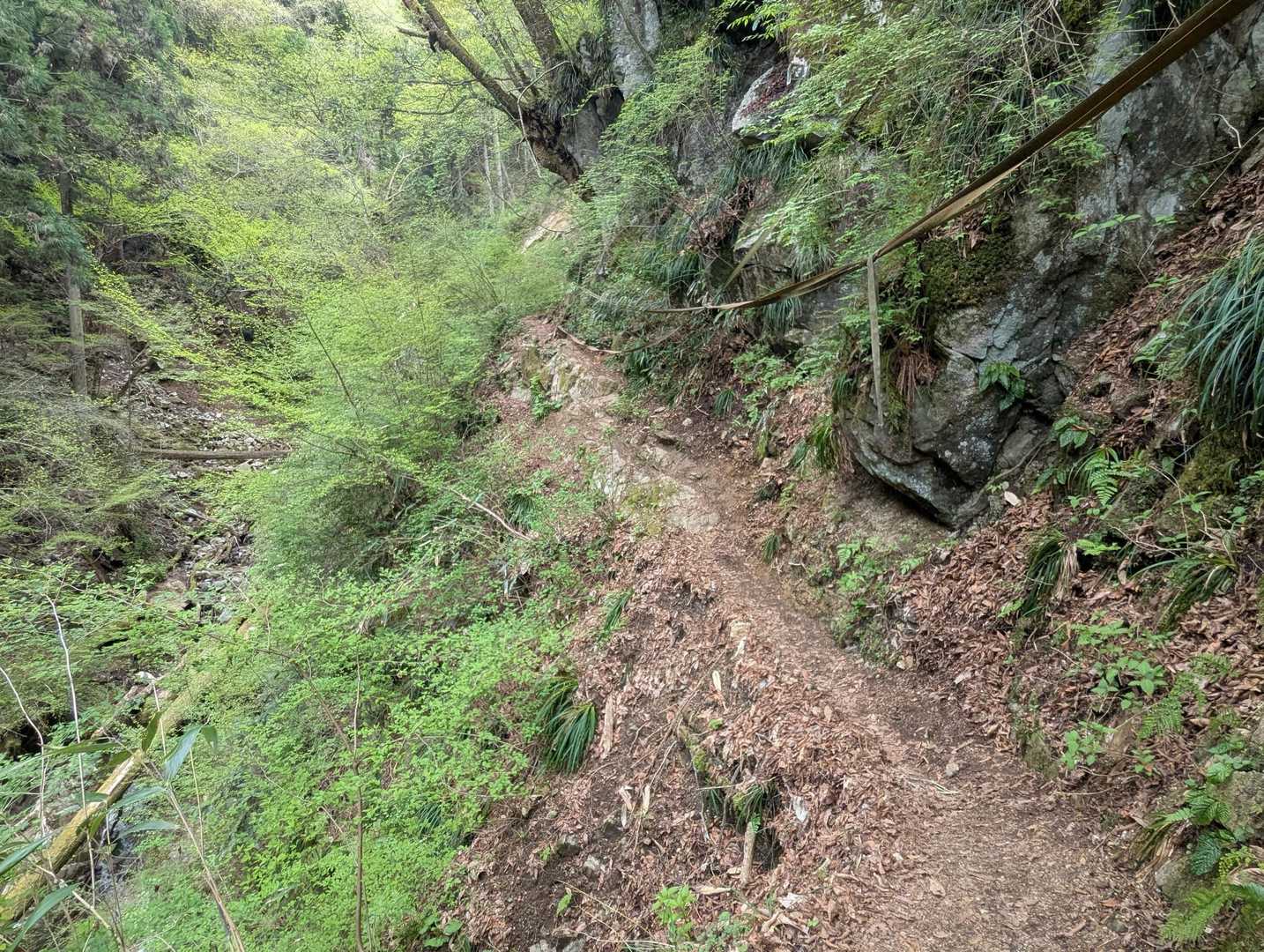 ゆっくりゆっくり
