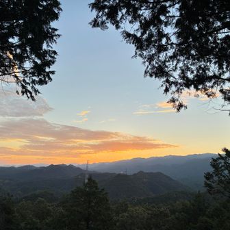 気持ちい朝やー最高やん🌅😊