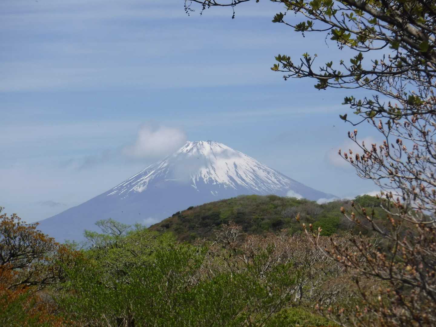 神山-駒ヶ岳頂上駅-駒ヶ岳 往復コースの写真