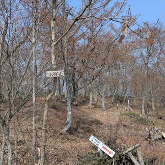 【小谷山】山頂
〈大嶽（おおずく）城跡〉