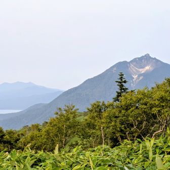 恵庭岳の左奥に横たわるホロホロ山と徳舜暼山。