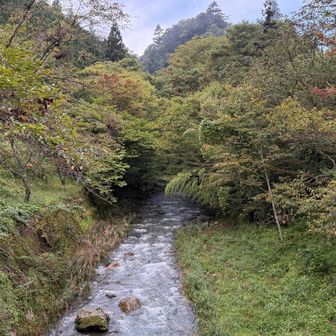 渓流釣り見かけた