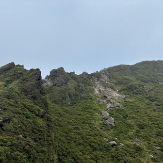 これから向かう西峰を👀