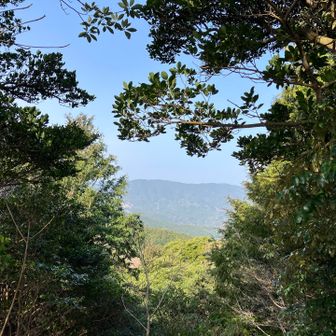 木々の隙間から油山
このあと猿山、糠塚山へ向かいます