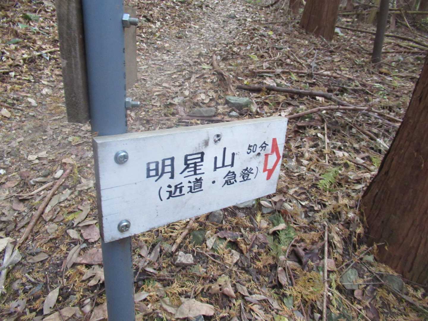 但し、急登が待っています💦
