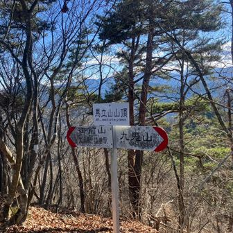 馬立山山頂。今回の山行では最も標高が高いのに、眺望はありません。さすがに午年でもここを目指して来る人はいないだろうな