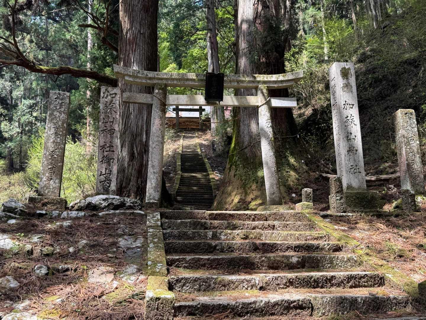 加蘇山神社前の🅿️は満車も、遅れて到着したのでもう登り終えて降りてきた方がいてよかった