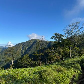 次、丹沢山に行ってみよう👉