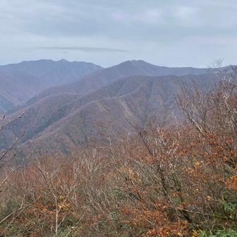 前回苦しめてくれた　神室　前神室