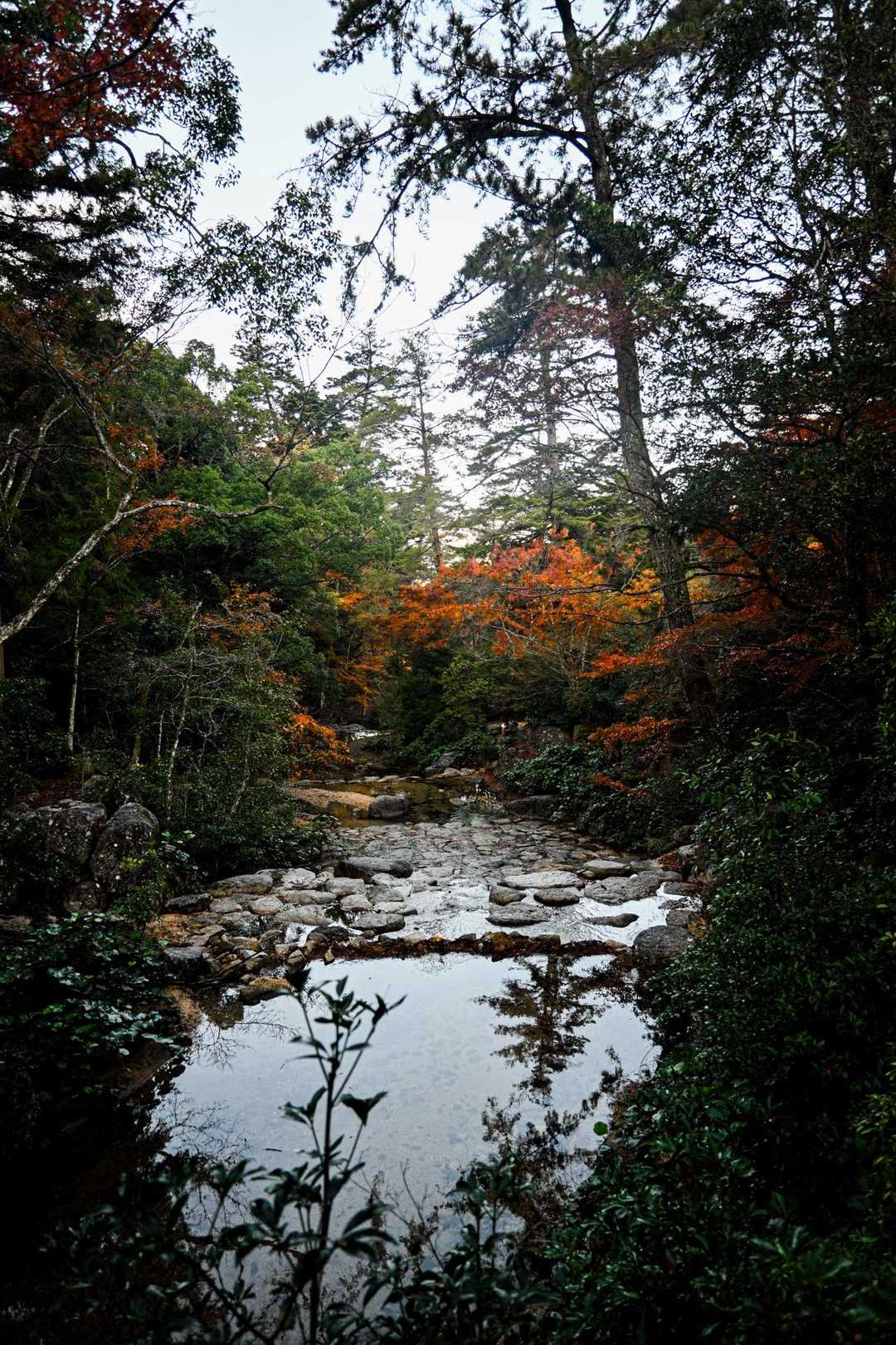 大元神社-弥山登山道入口　-前峠山-三剣山-弥山-紅葉谷橋 周回コースの写真