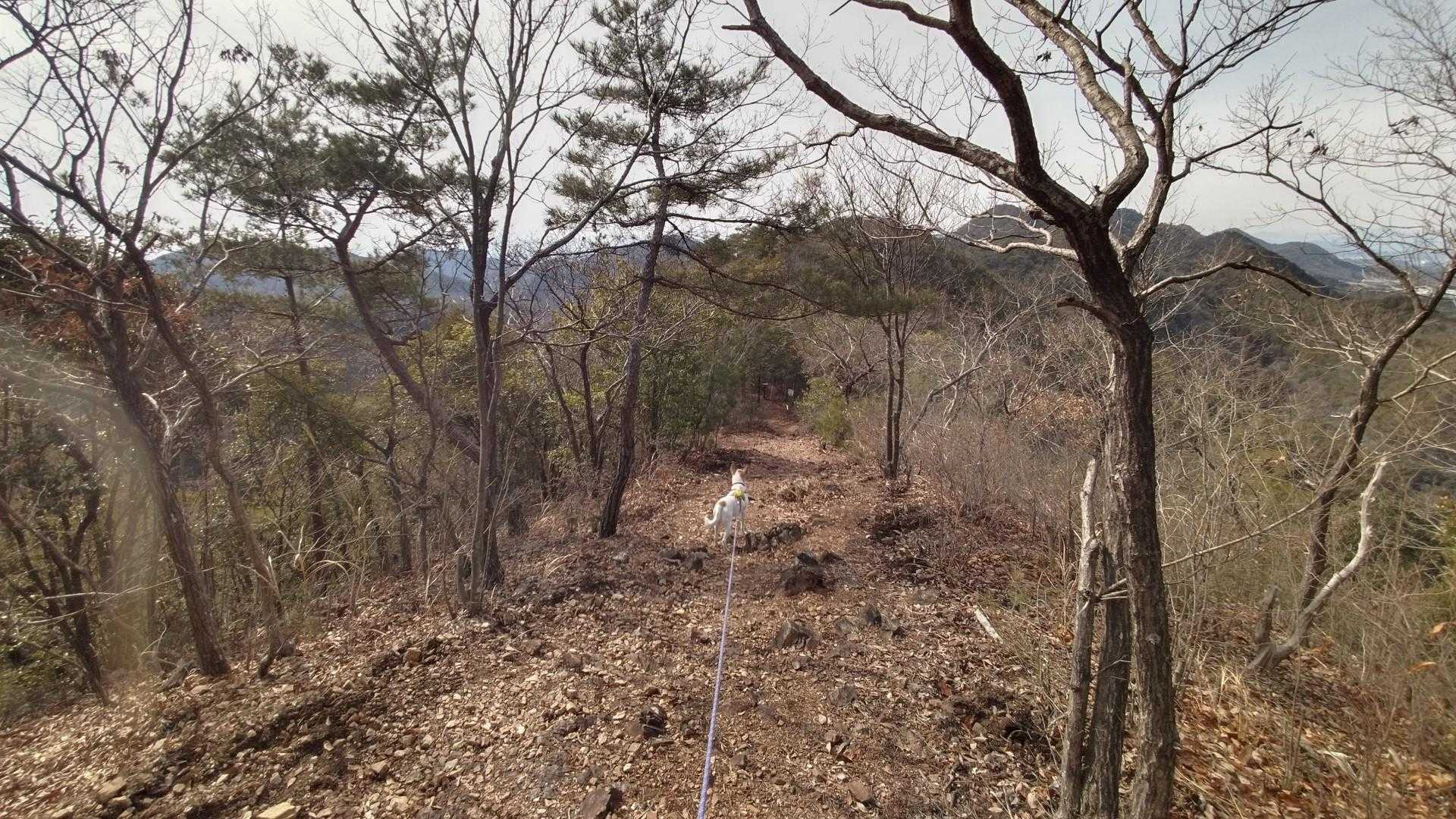 開けた尾根を下って