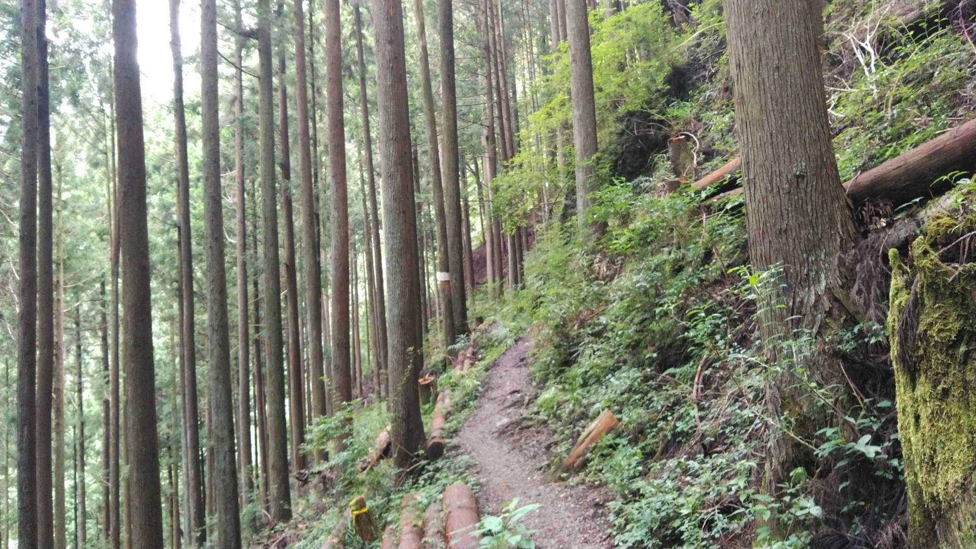 誰にも会わないよ〜