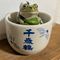 たいしょー
