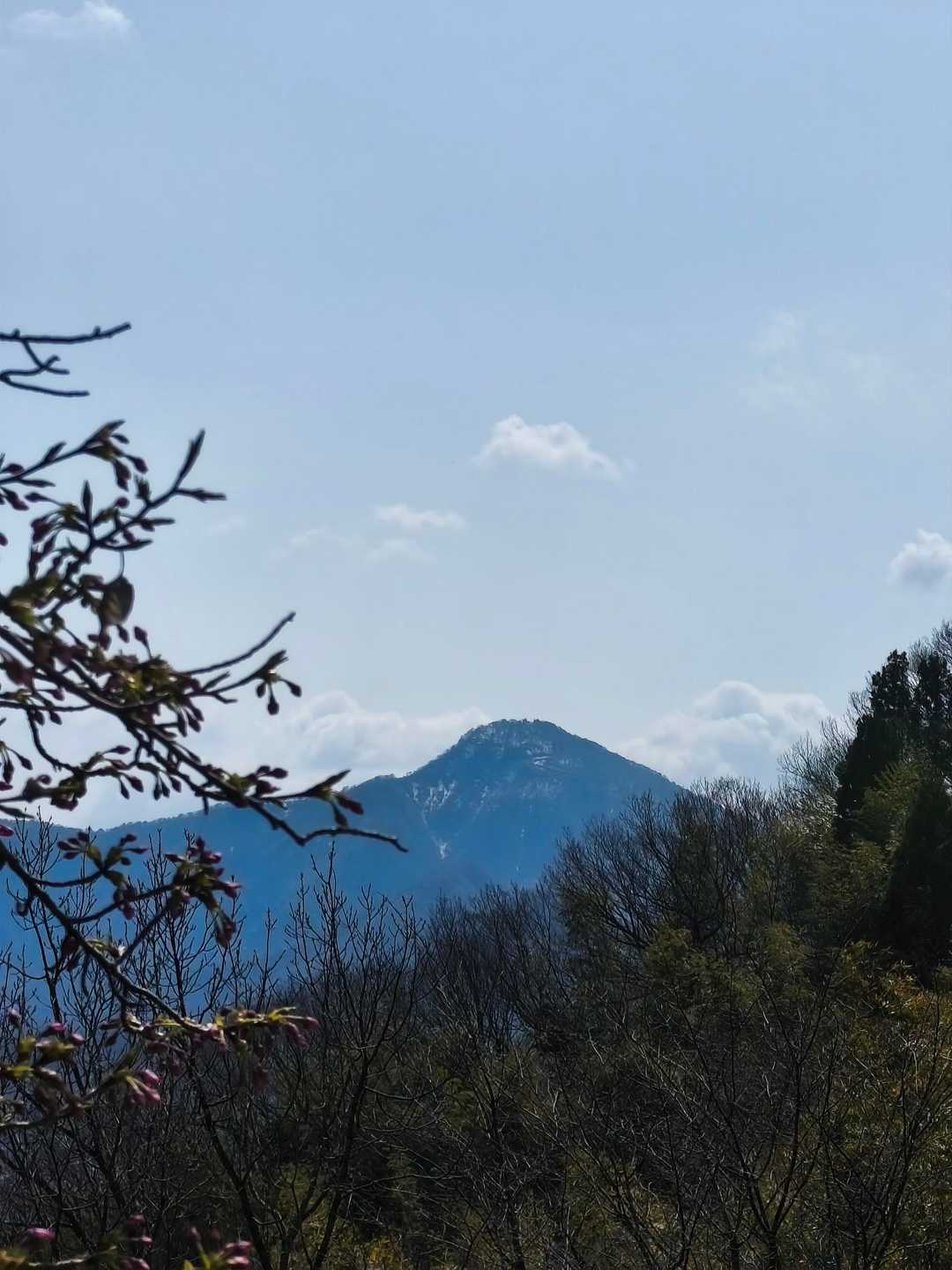 眺め良し
