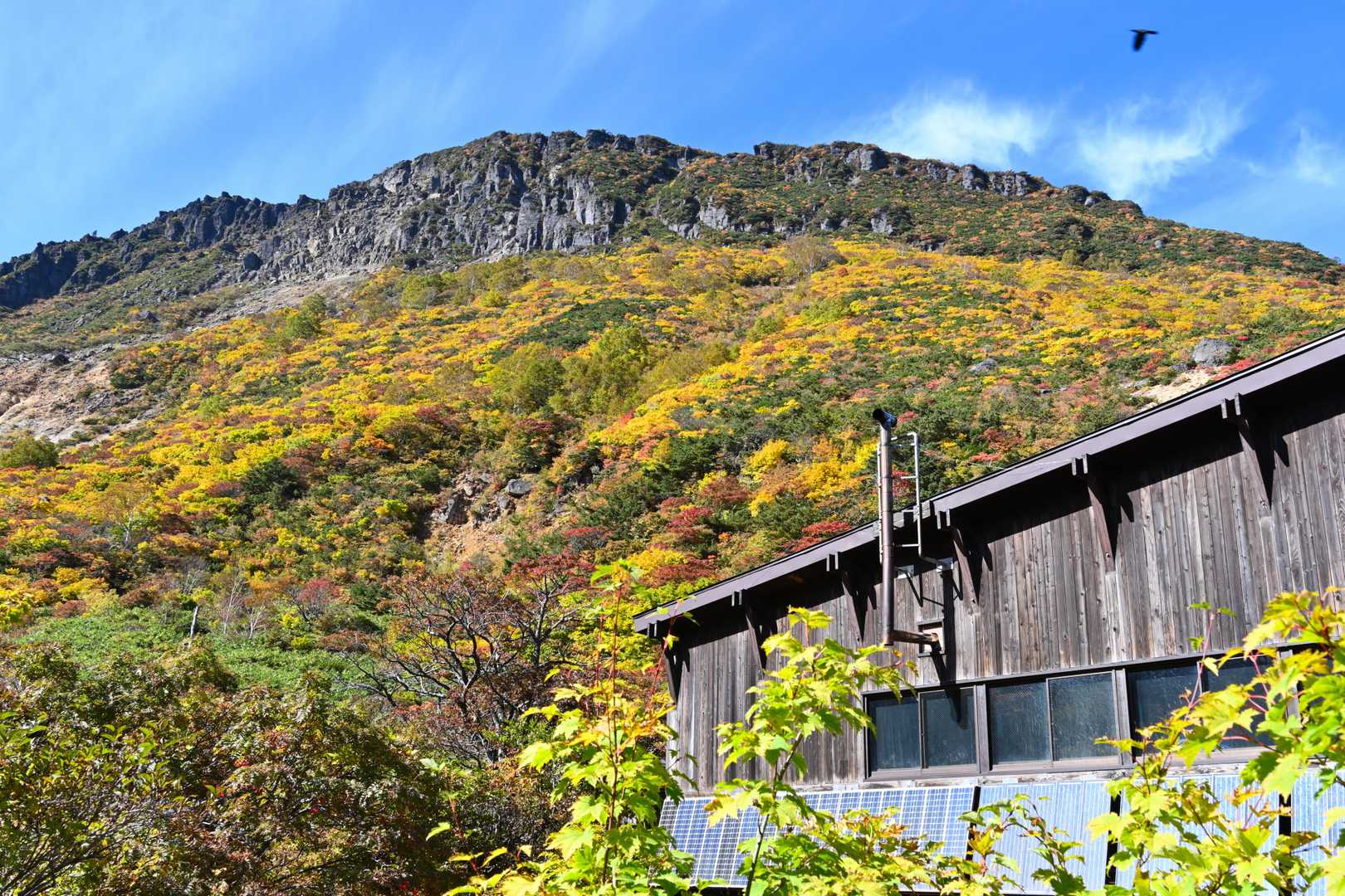 あだたら山 奥岳の湯-奥岳登山口-薬師岳-安達太良山-矢筈 周回コースの写真