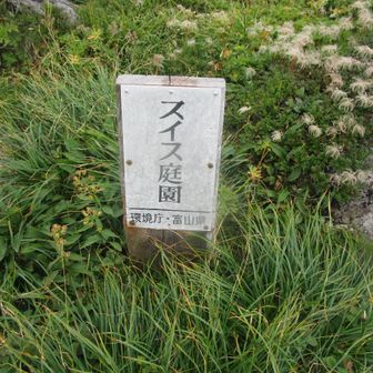 スイス庭園