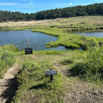 火口湿原中央に到着‼️池塘が現れた😆