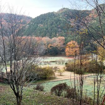 こんないい広場有ったの知らなかった❗️