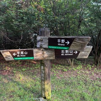 平尾山へちょっと寄り道
