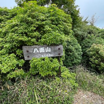 八面山ピーク