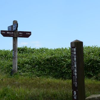 この看板を見逃していた