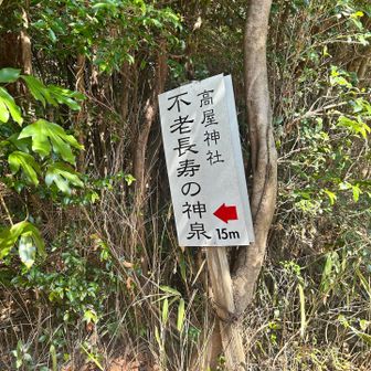 飲めば不老長寿とか…？