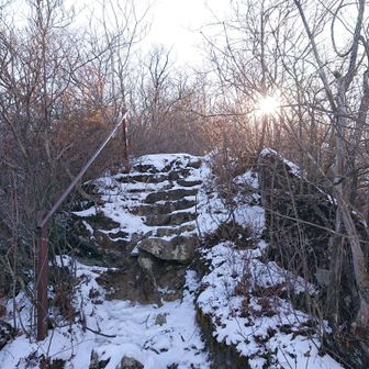 おまけに雪付き🤣