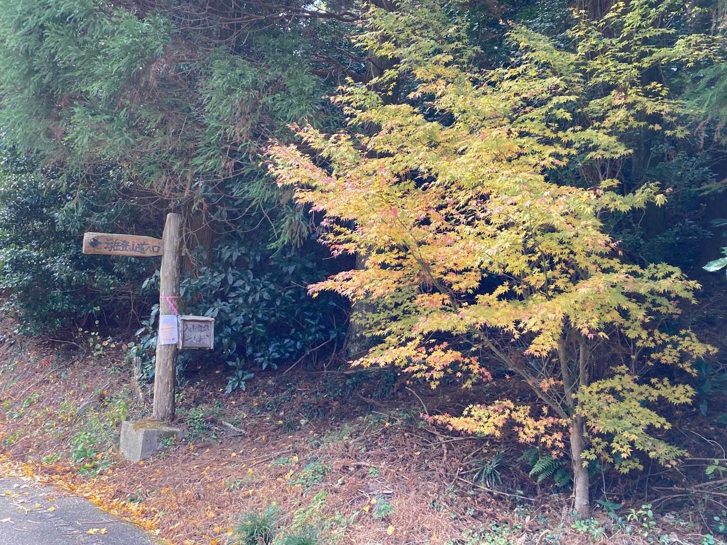 最後に もみじの紅葉も見る事ができて、嬉しい 楽しい 山行でした✨

ありがとうございました😊