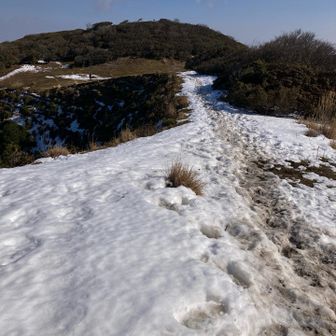 雪雪！滑らないのでノーマルで歩く
