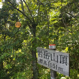 山頂札はYAMAPの大岩のとこにあり