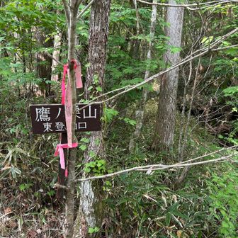 東登山口へようやく下山。