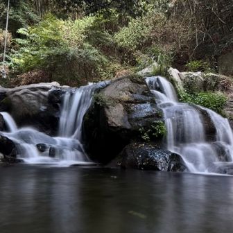 菊水山の川で行水しましたー